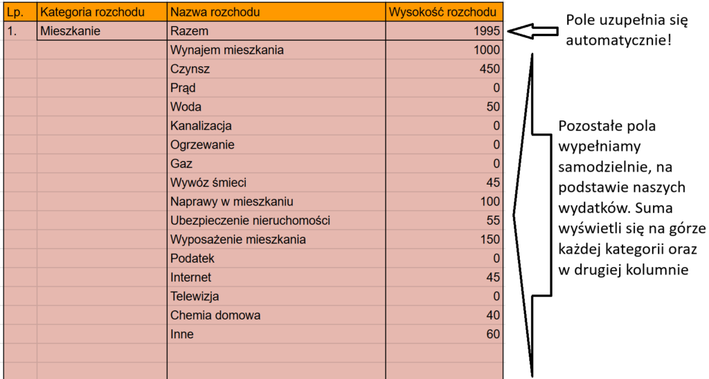 Instrukcja wypełnienia tabeli rozchodów 